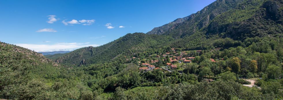 discovery of the fauna and flora of Pyrenes, France