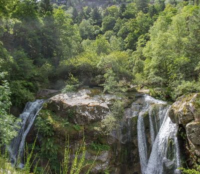 discovery of the eastern Pyrenes, its fauna and flora, region of France