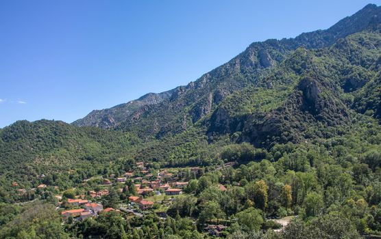 discovery of the fauna and flora of Pyrenes, France