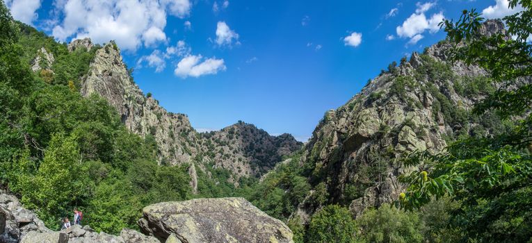 discovery of the eastern Pyrenes, its fauna and flora, region of France