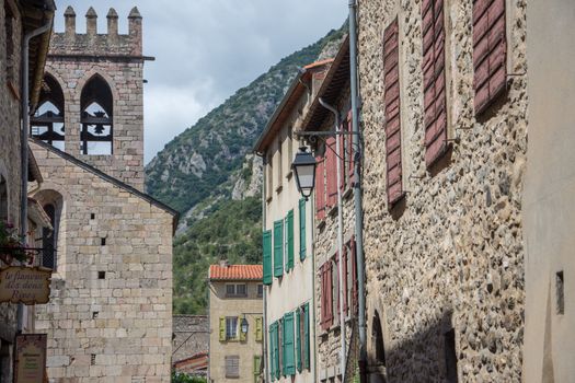 discovery of the eastern Pyrenes, its fauna and flora, region of France