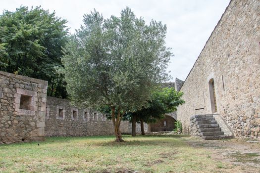 discovery of the eastern Pyrenes, its fauna and flora, region of France