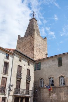 discovery of the eastern Pyrenes, its fauna and flora, region of France