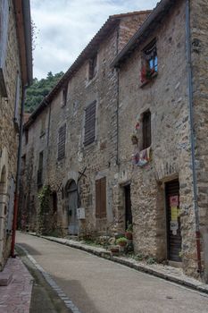 discovery of the eastern Pyrenes, its fauna and flora, region of France