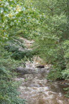 discovery of the eastern Pyrenes, its fauna and flora, region of France