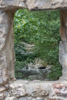 discovery of the eastern Pyrenes, its fauna and flora, region of France