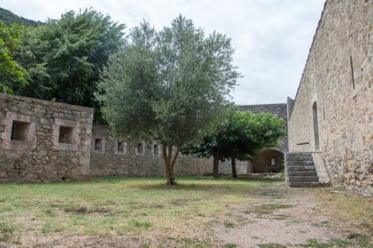 discovery of the eastern Pyrenes, its fauna and flora, region of France