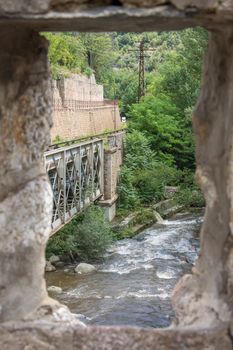 discovery of the eastern Pyrenes, its fauna and flora, region of France