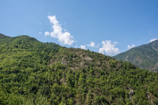 discovery of the eastern Pyrenes, its fauna and flora, region of France