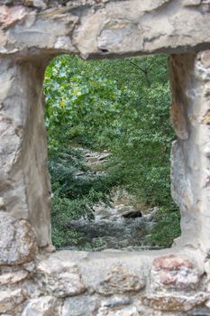 discovery of the eastern Pyrenes, its fauna and flora, region of France