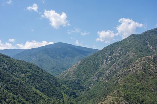 discovery of the eastern Pyrenes, its fauna and flora, region of France
