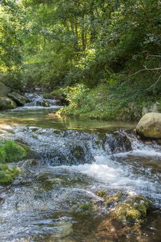 discovery of the eastern Pyrenes, its fauna and flora, region of France