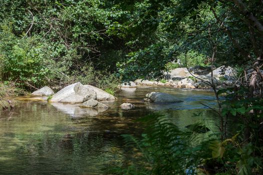 discovery of the eastern Pyrenes, its fauna and flora, region of France