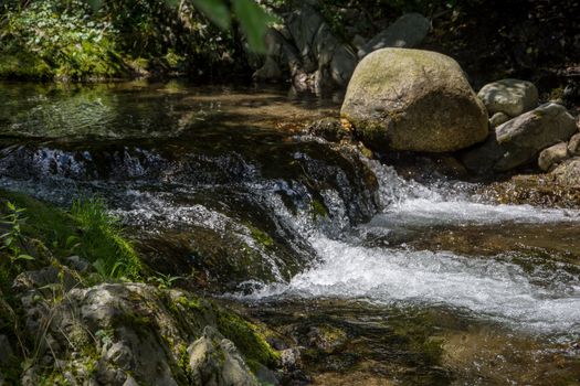 discovery of the eastern Pyrenes, its fauna and flora, region of France