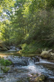 discovery of the eastern Pyrenes, its fauna and flora, region of France