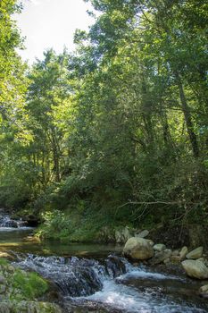 discovery of the eastern Pyrenes, its fauna and flora, region of France