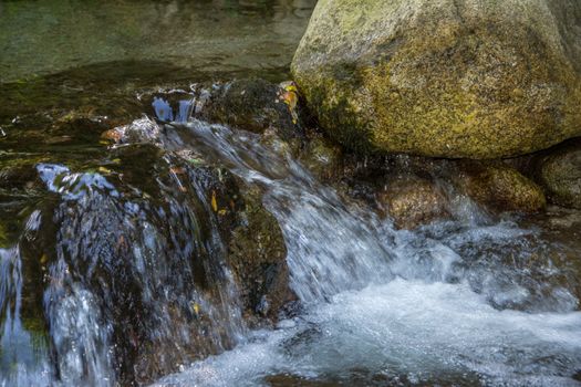 discovery of the eastern Pyrenes, its fauna and flora, region of France