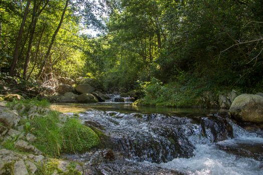 discovery of the eastern Pyrenes, its fauna and flora, region of France