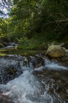 discovery of the eastern Pyrenes, its fauna and flora, region of France