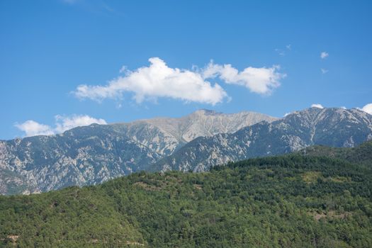 discovery of the eastern Pyrenes, its fauna and flora, region of France