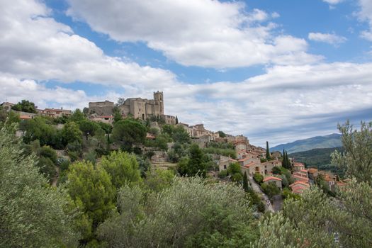 discovery of the eastern Pyrenes, its fauna and flora, region of France