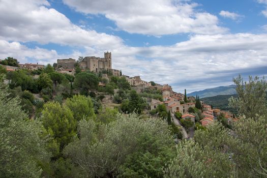 discovery of the eastern Pyrenes, its fauna and flora, region of France