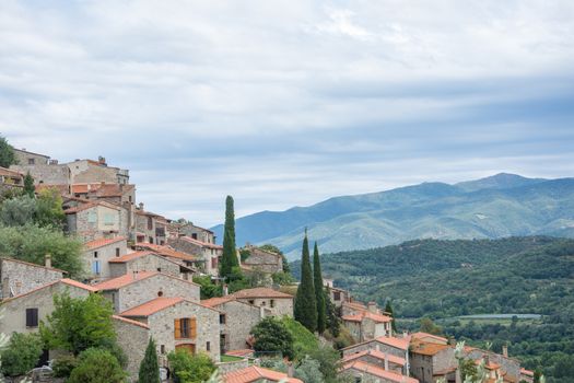 discovery of the eastern Pyrenes, its fauna and flora, region of France