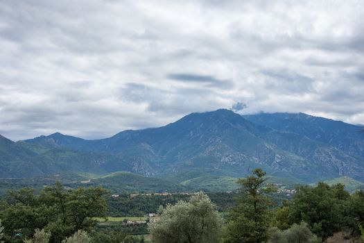 discovery of the eastern Pyrenes, its fauna and flora, region of France