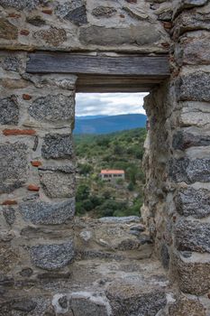 discovery of the eastern Pyrenes, its fauna and flora, region of France