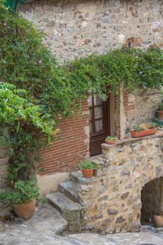 discovery of the eastern Pyrenes, its fauna and flora, region of France
