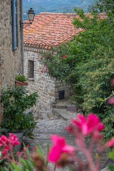 discovery of the eastern Pyrenes, its fauna and flora, region of France