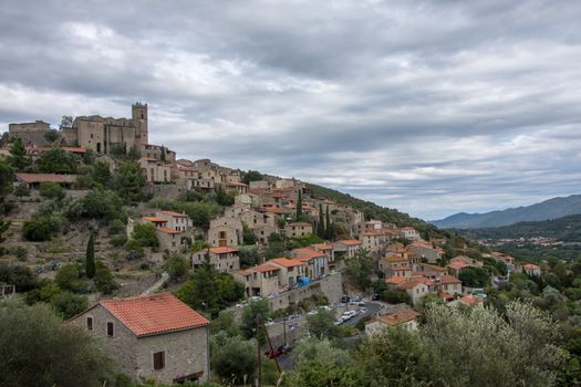 discovery of the eastern Pyrenes, its fauna and flora, region of France