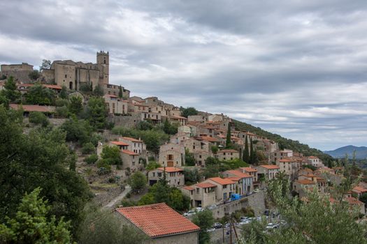 discovery of the eastern Pyrenes, its fauna and flora, region of France