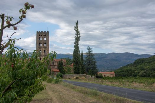 discovery of the eastern Pyrenes, its fauna and flora, region of France