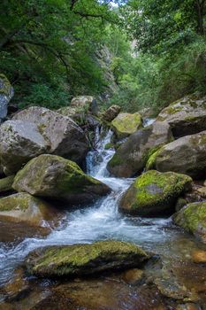 discovery of the eastern Pyrenes, its fauna and flora, region of France