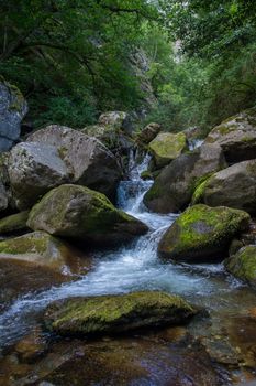 discovery of the eastern Pyrenes, its fauna and flora, region of France