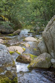 discovery of the eastern Pyrenes, its fauna and flora, region of France