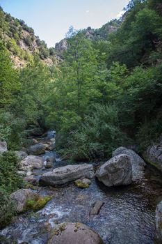 discovery of the eastern Pyrenes, its fauna and flora, region of France