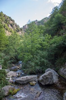 discovery of the eastern Pyrenes, its fauna and flora, region of France