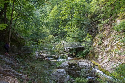 discovery of the eastern Pyrenes, its fauna and flora, region of France
