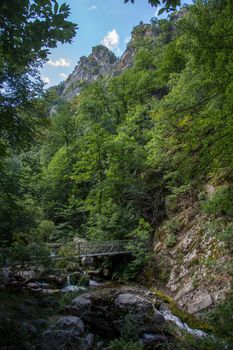 discovery of the eastern Pyrenes, its fauna and flora, region of France