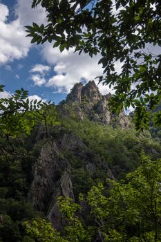 discovery of the eastern Pyrenes, its fauna and flora, region of France