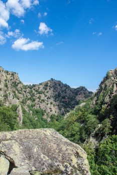 discovery of the eastern Pyrenes, its fauna and flora, region of France