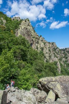 discovery of the eastern Pyrenes, its fauna and flora, region of France