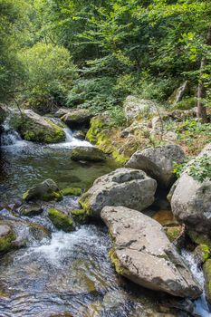 discovery of the eastern Pyrenes, its fauna and flora, region of France
