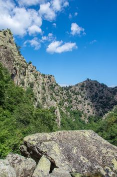 discovery of the eastern Pyrenes, its fauna and flora, region of France