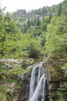 discovery of the eastern Pyrenes, its fauna and flora, region of France