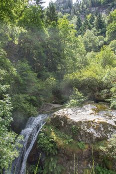 discovery of the eastern Pyrenes, its fauna and flora, region of France