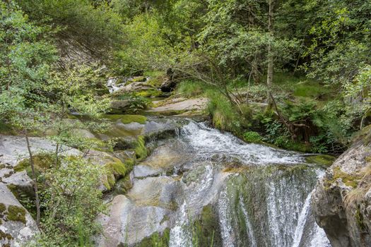 discovery of the eastern Pyrenes, its fauna and flora, region of France