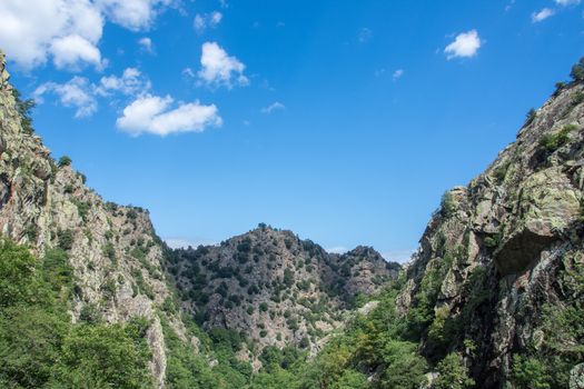 discovery of the eastern Pyrenes, its fauna and flora, region of France